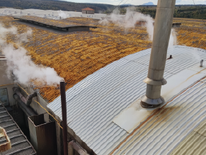 Vapor solar para fabricas con caldera